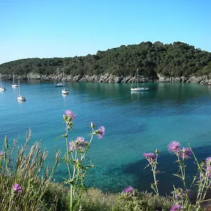 Alma Fetovaia